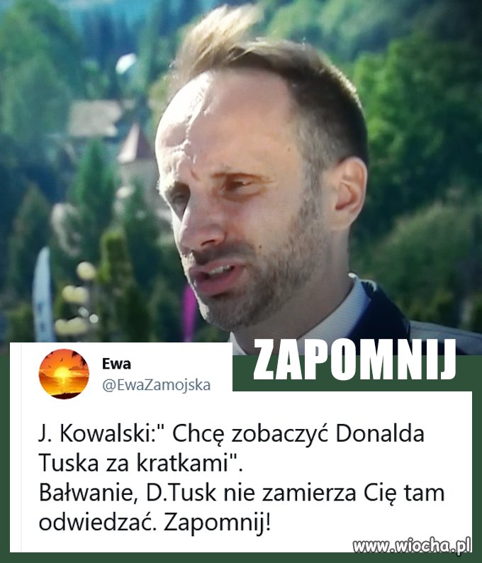 Ewa Zamojska