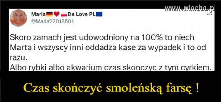 Albo rybki, albo akwarium...