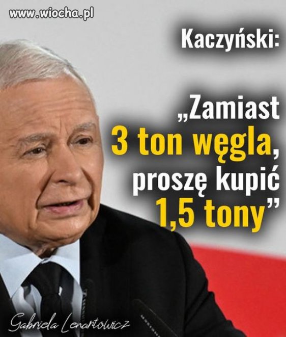 Ma ludzi za idiotów