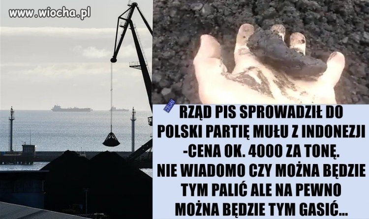 Czy już są chętni