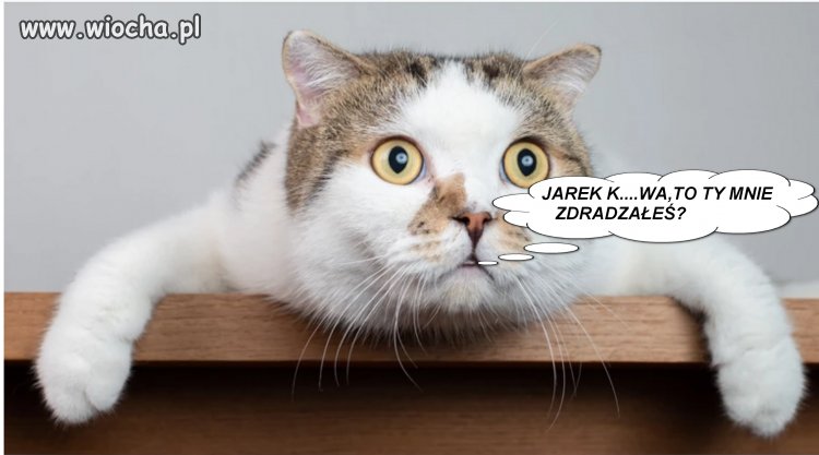 Różnie to w życiu bywa