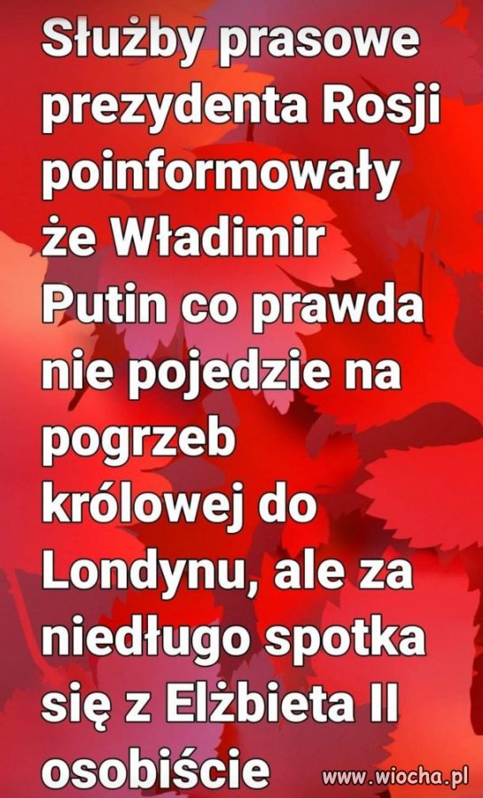 Oby jak najszybciej 