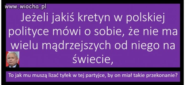 Lizusostwo w PiSie