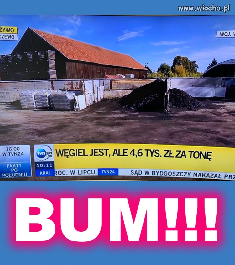 Miłość do pisu wymaga wyrzeczeń i poświęceń 