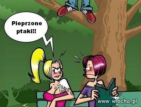 Ptaszki.