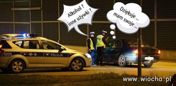 Pislicja i pisowiec.