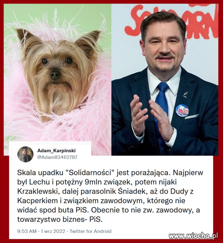 Wystarczy poczytać ile ''zarabia'' przew. Duda i jego poplecznicy