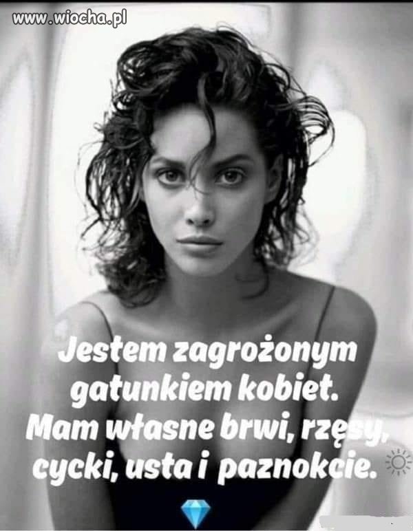 I nie klękam , gdy na drzwiach jest napisane
