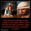 Zwiewam ze wstydu na ośle do Egiptu 