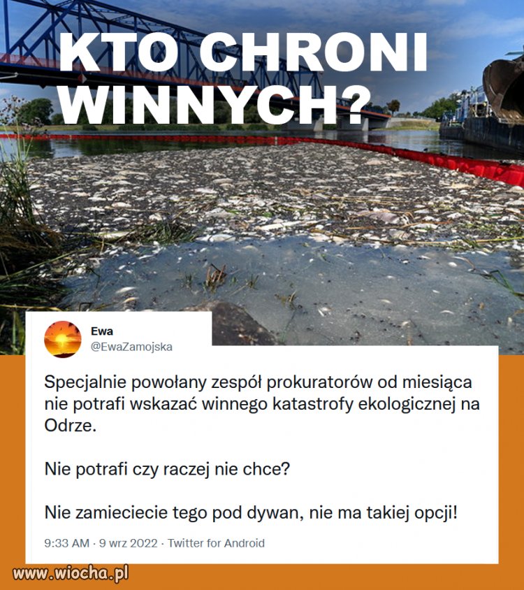 Czyli pisowcy maczali w tym paluchy!