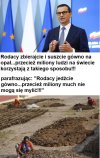 Premier "Dobra Rada"