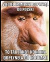 PiS wozi 