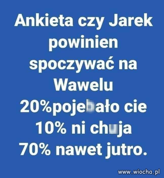 Ankieta