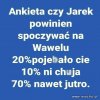 Ankieta