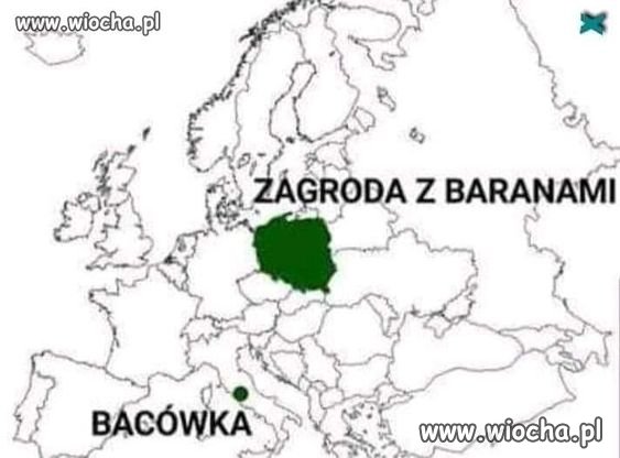Zagroda baranów 