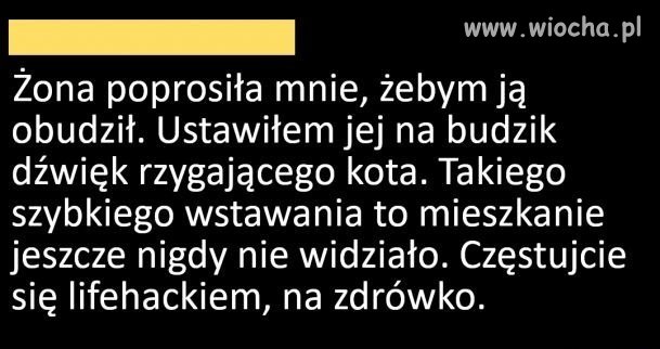 Działa-polecam