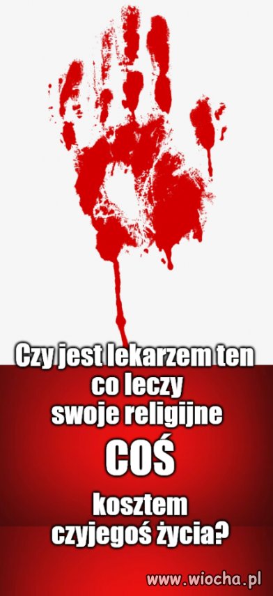 Kolega pytał