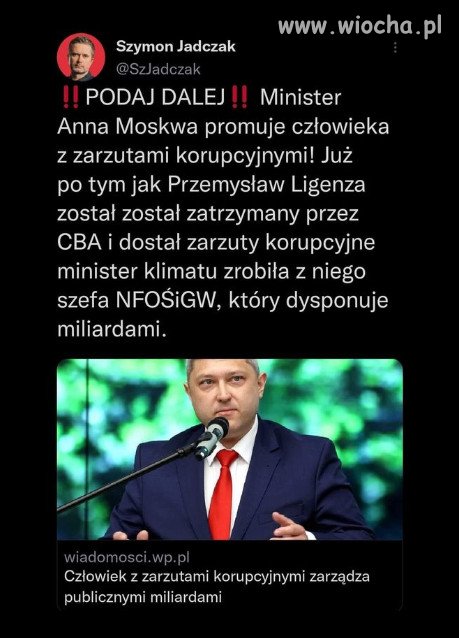 W PiS dobrane towarzystwo, sami swoi złodzieje!