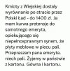 Polska za rządów PIS