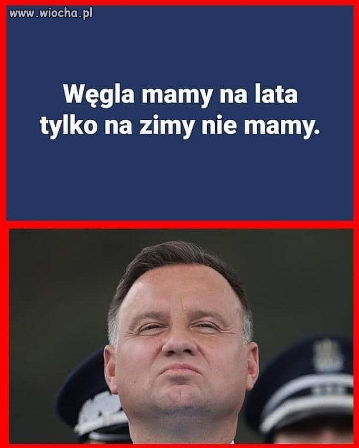 Jak tam pisiaki ?
