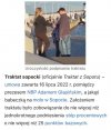 Profesjonalny, niezależny prezes NBP