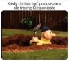 Igraszki miłosne 