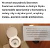 Woły w Wołowie
