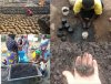 PISowskie kopalnie węgla po 4tyś/tona