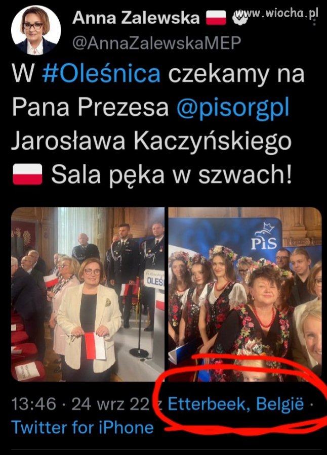 Wiarygodność 