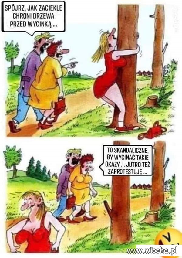 Bez polityki.