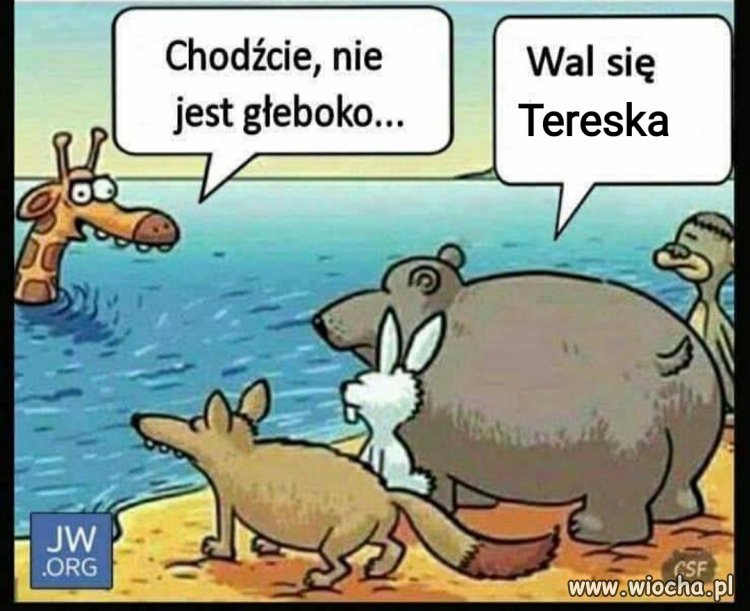 Ta żyrafa jest szalona...