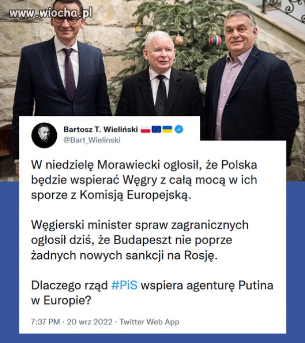 Agentura Putina