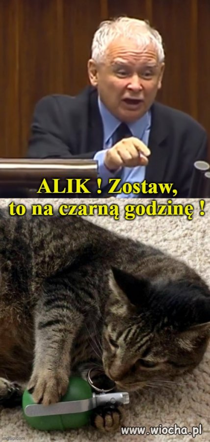 Kiedy sierściuch zacznie grzebać