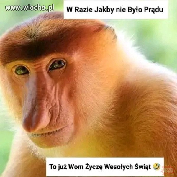 Tak na wszelki wypadek.