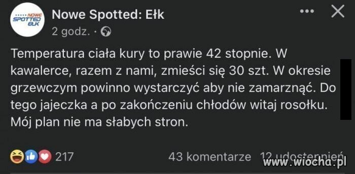 Polak potrafi.