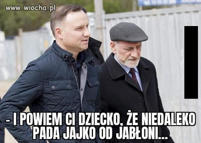 Żyć i mieszkać