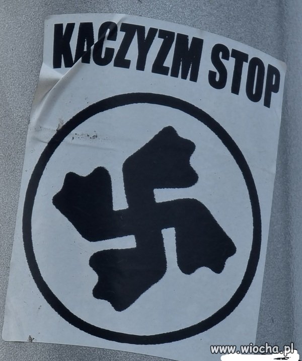 Kaczyzm.