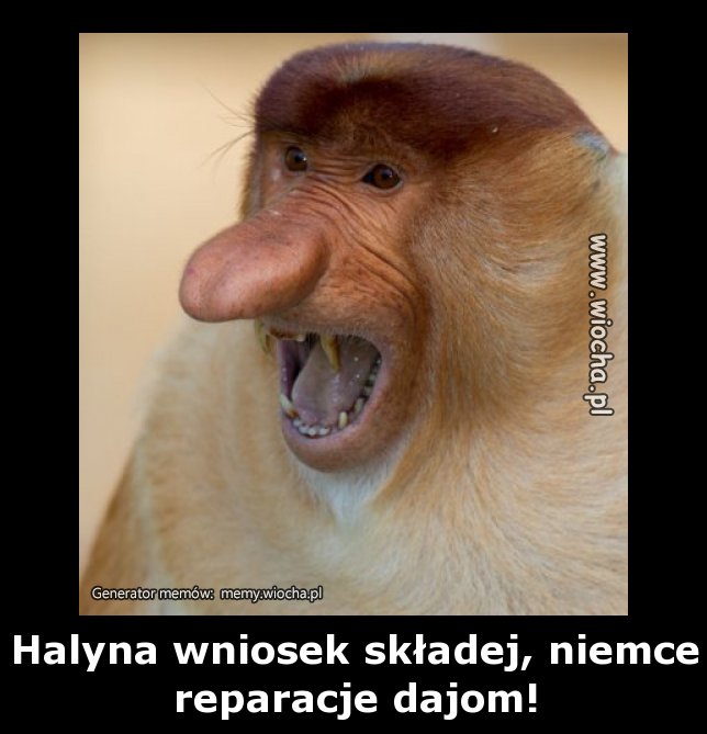 Halyna wniosek składej, niemce reparacje dajom!