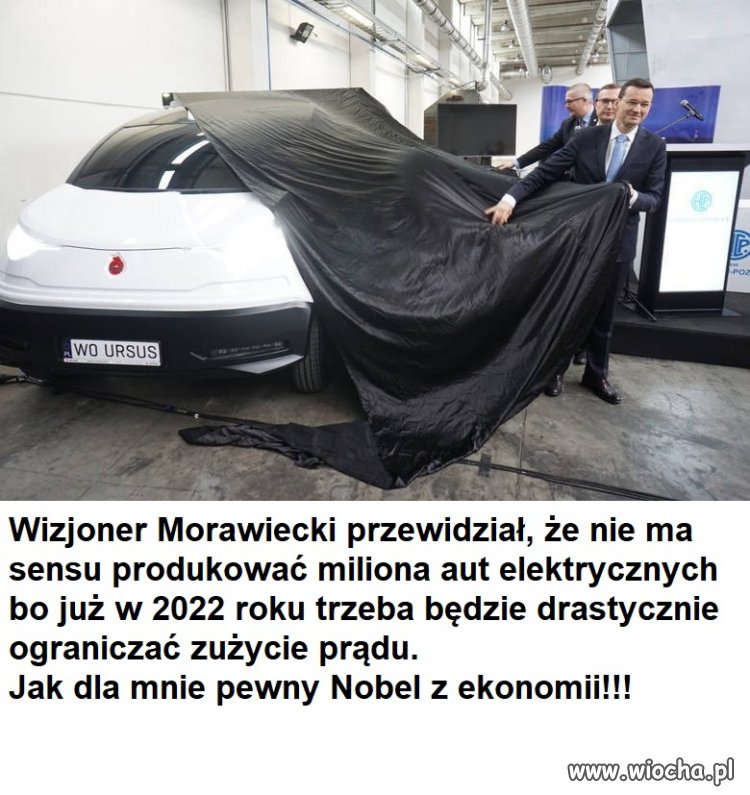 Wizjoner