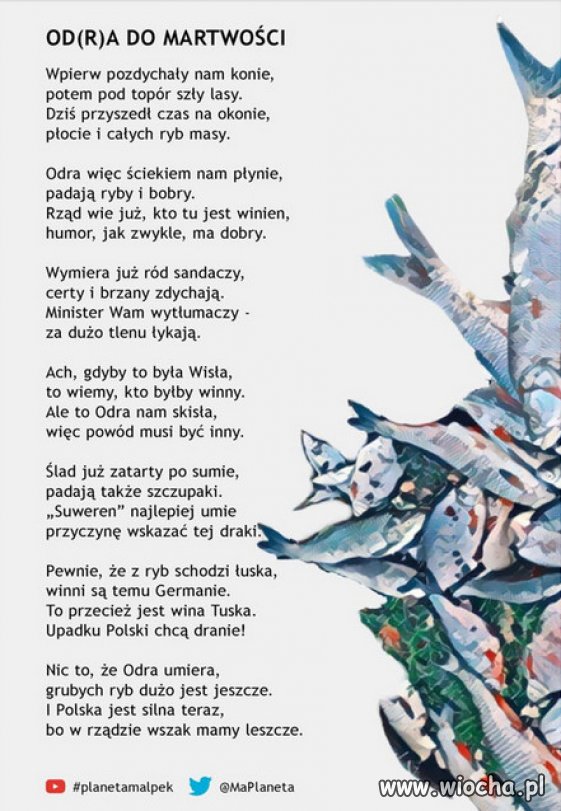 Czy jeszcze ktoś pamięta katastrofę ekologiczna Odry?