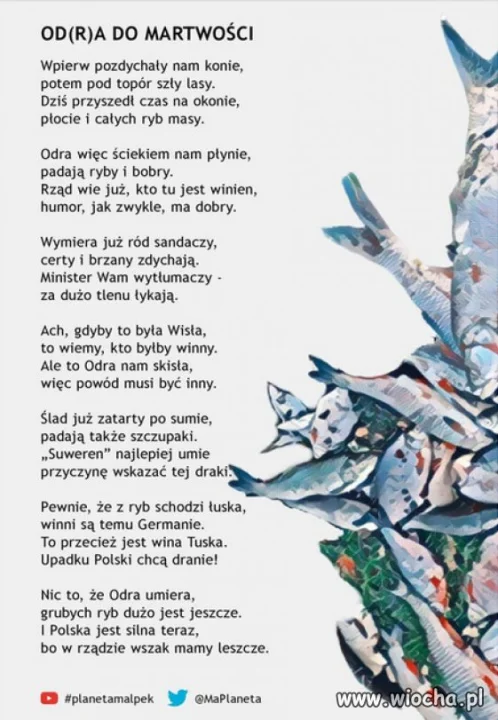 Czy jeszcze ktoś pamięta katastrofę ekologiczna Odry?