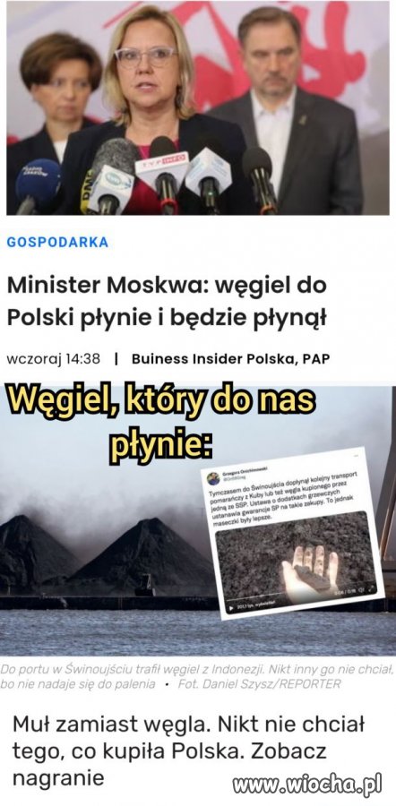 Banda nieudaczników 