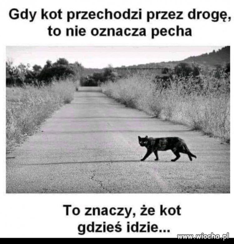 Dla przesądnych