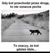Dla przesądnych