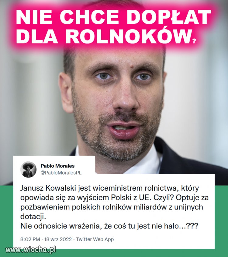Cały ten rząd to jedno wielkie nieporozumienie i upadek