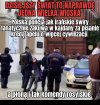 Dziwny jest ten świat 