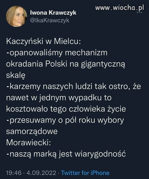 Kociokwik