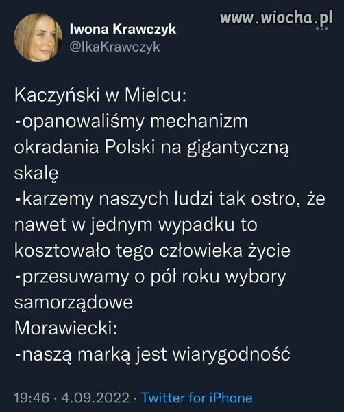 Kociokwik