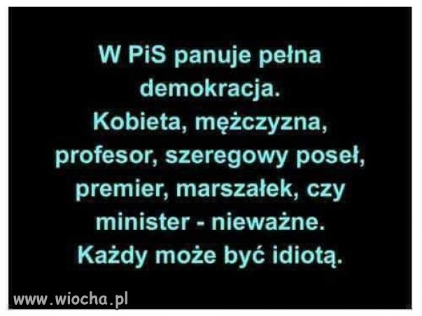 Im kto głupszy, tym bardziej w PiSie...