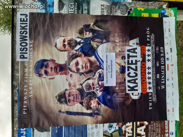 Kaczęta